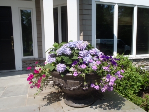 drip irrigation
