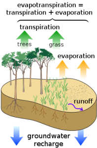 260px-Surface_water_cycle.svg