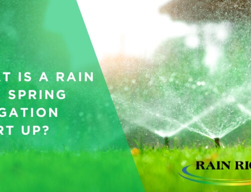 What is a RAIN RICH Spring Irrigation Start Up? 
