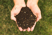 Compost