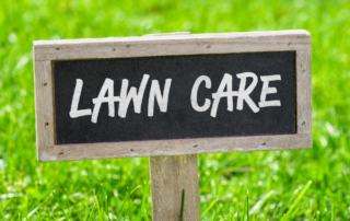 lawn care