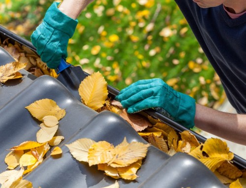Five Reasons To Make Sure Your Gutters & Leaders Are Clean