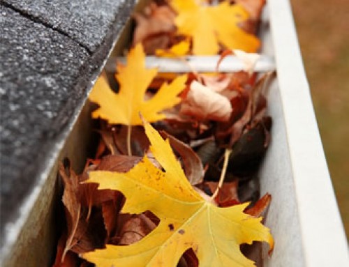 Six Reasons To Make Sure Your Gutters & Leaders Are Clean
