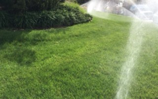 Sprinkler Turn On