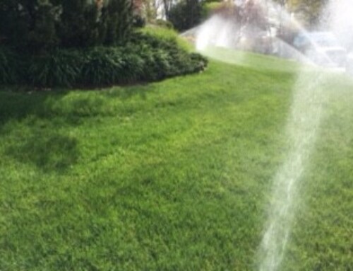 Choosing A New Irrigation System? 