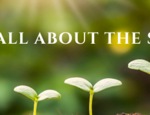 It’s All About the Soil!