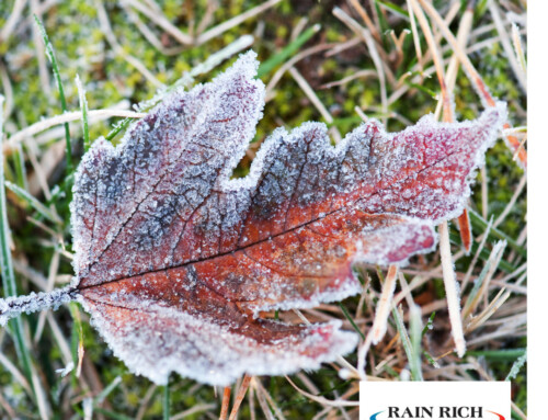 Why Wait? Winterize Your Irrigation System Now!