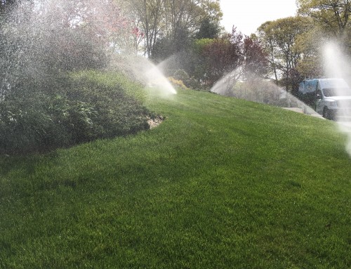 Time to activate your sprinkler system