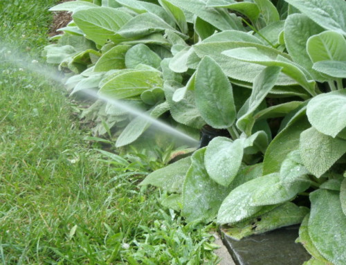 Is My Sprinkler System Working Properly?