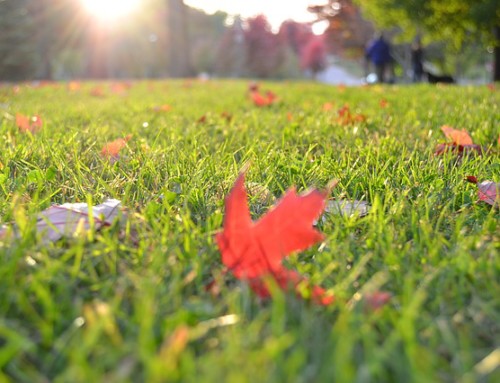 Time to Winterize Your Sprinkler System