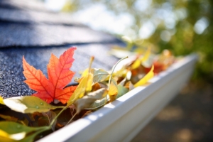 gutter-cleaning