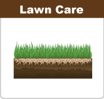 lawn-care-5boxes