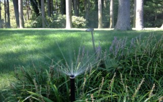 Long Island Sprinklers