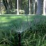 Long Island Sprinklers
