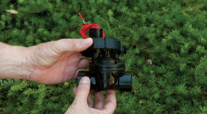 Sprinkler Valve