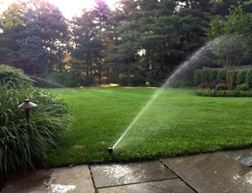 Sprinkler System Check Up- Mid Summer
