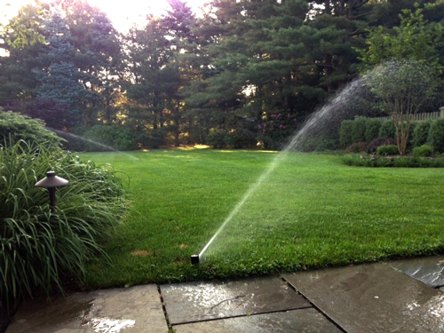 Lawn Sprinkler Service & Repairs