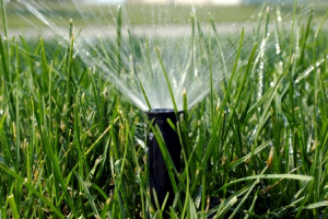 watering-lawns